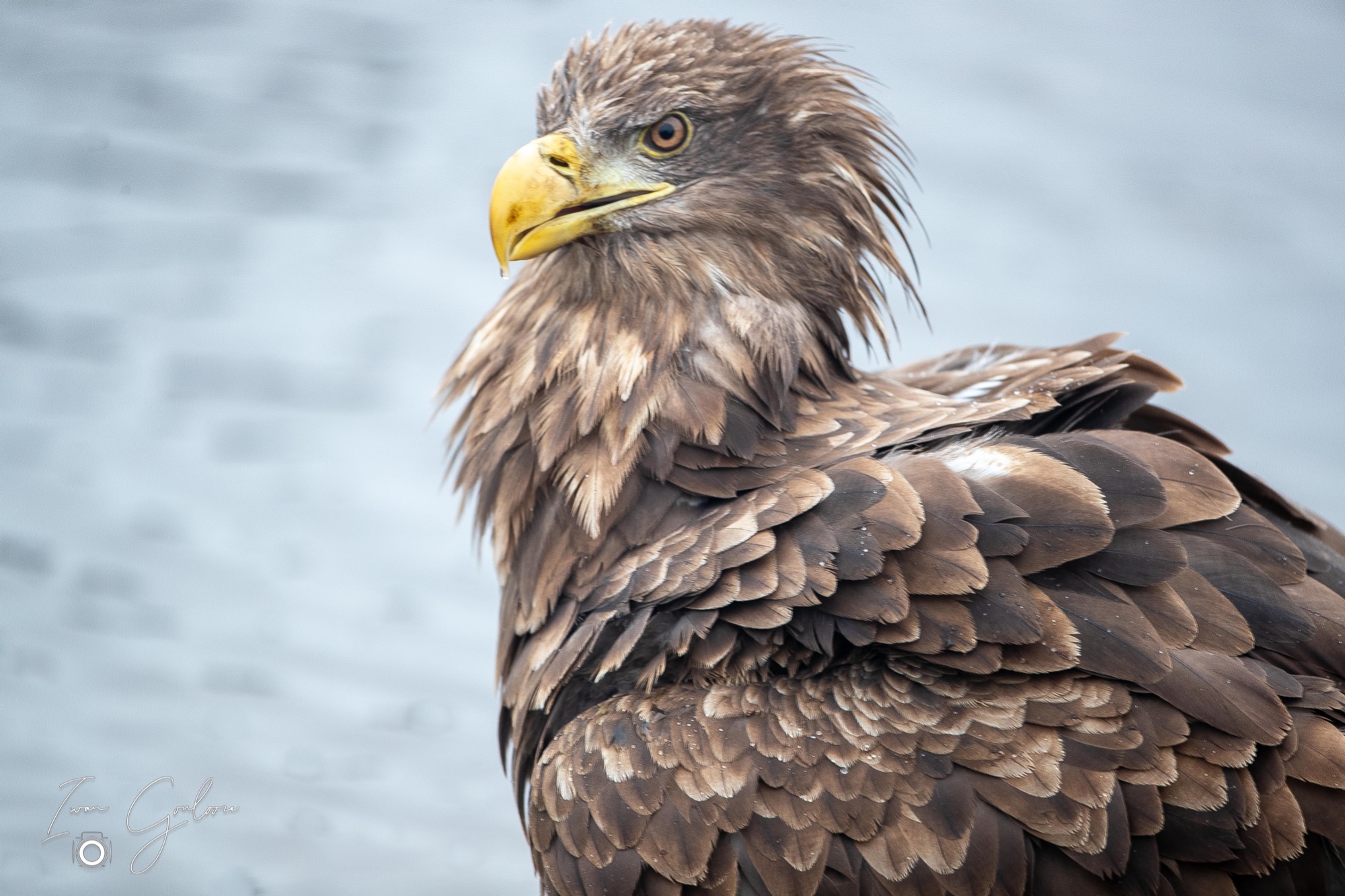 1DX46935 12 december 2021 1447 12